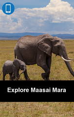 Explore Maasai Mara – Dream Destination
